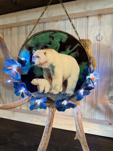 Aurora Polar Bears