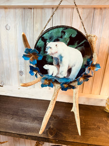 Aurora Polar Bears