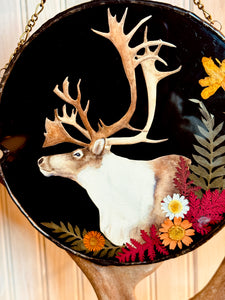 Brooks Caribou Antler