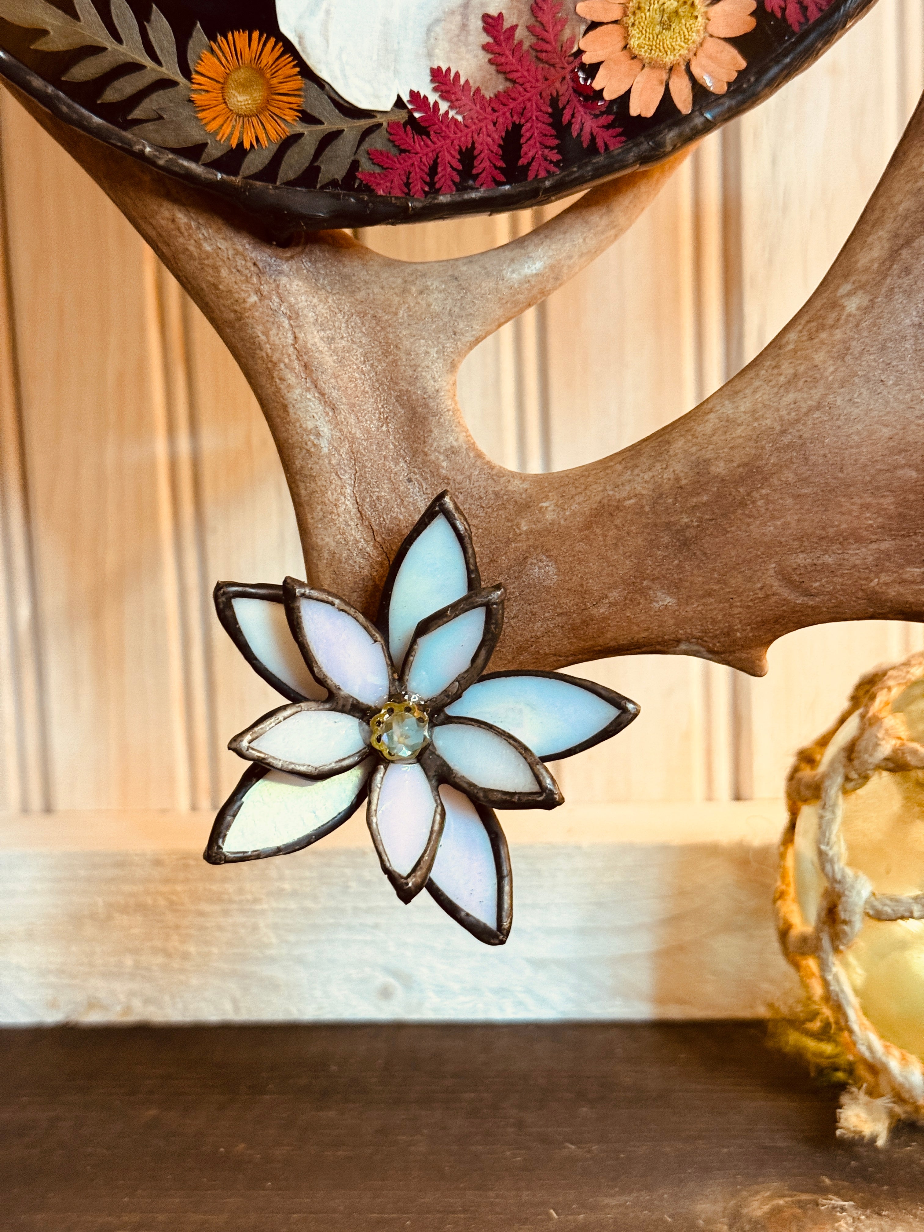 Brooks Caribou Antler