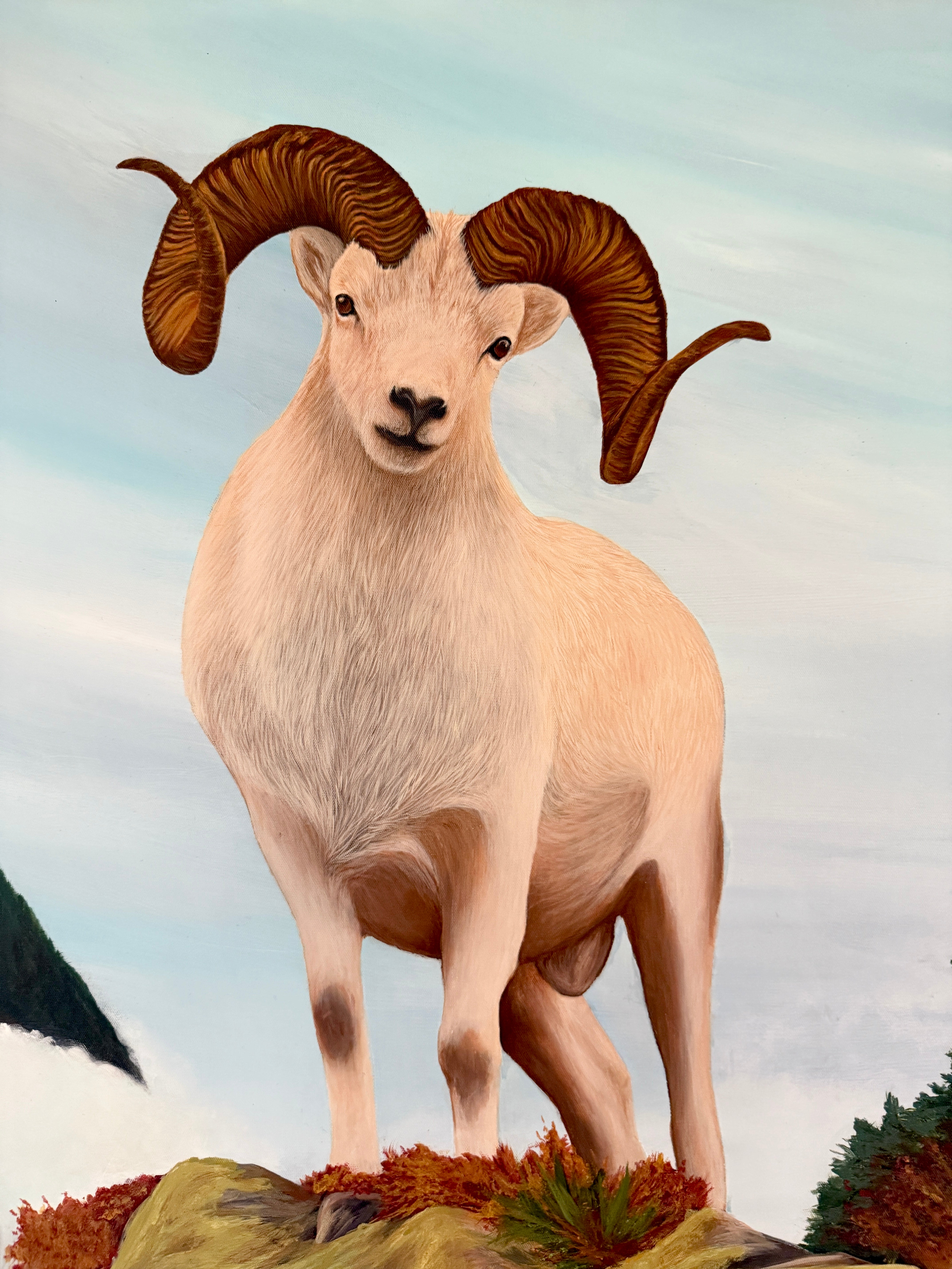 Timber Ram