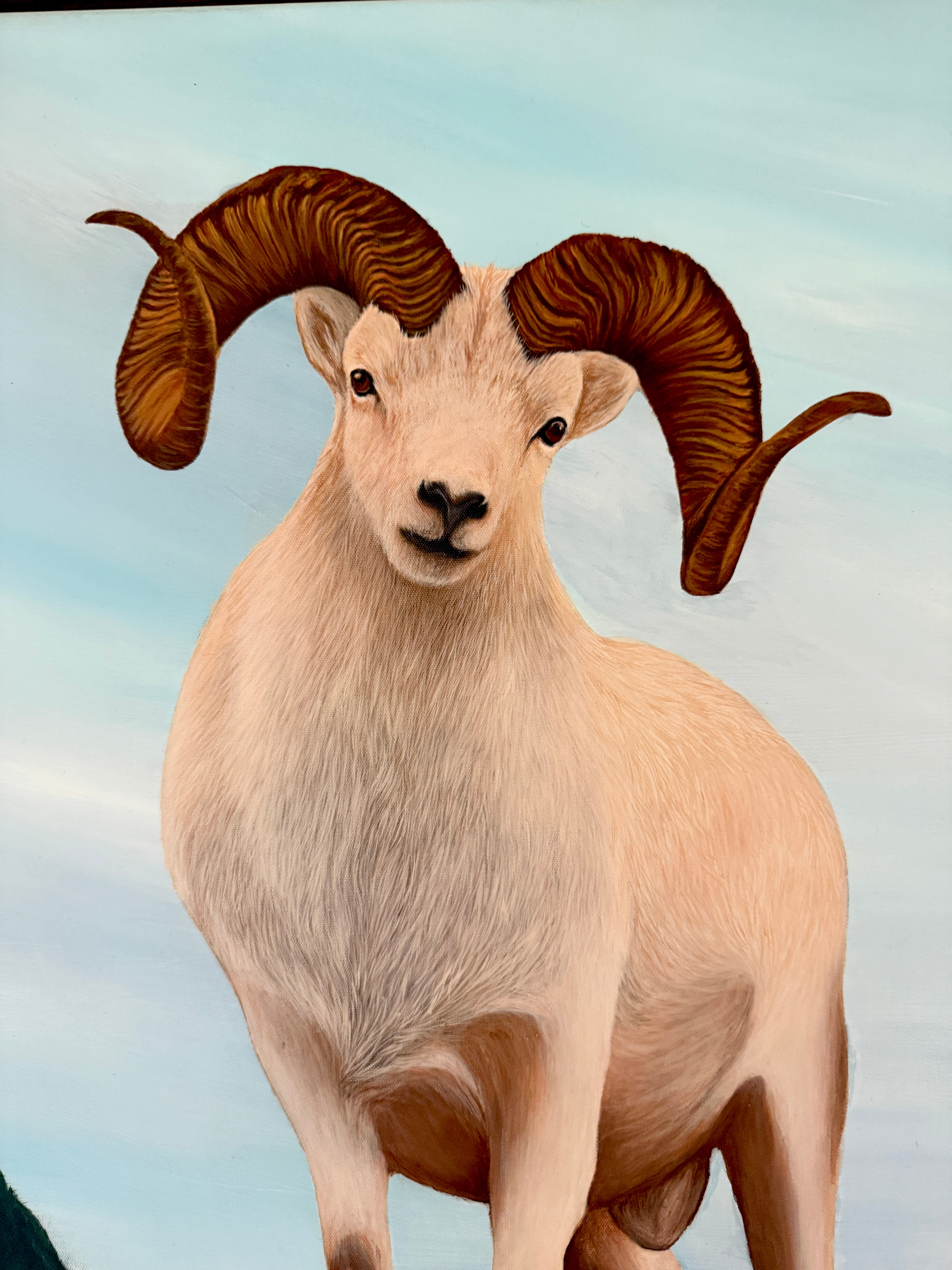 Timber Ram