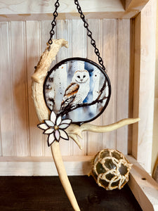 Winter Owl