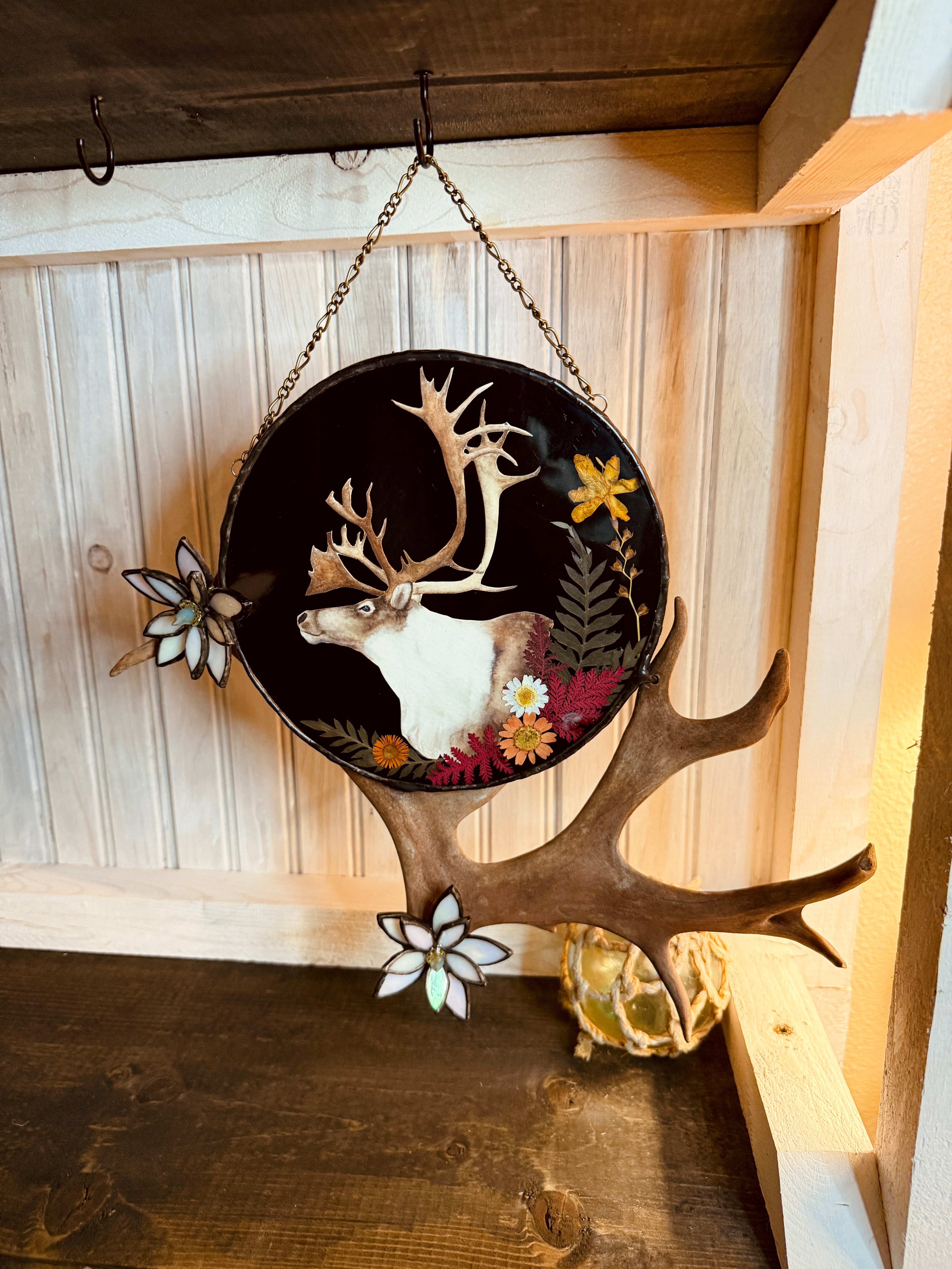 Brooks Caribou Antler