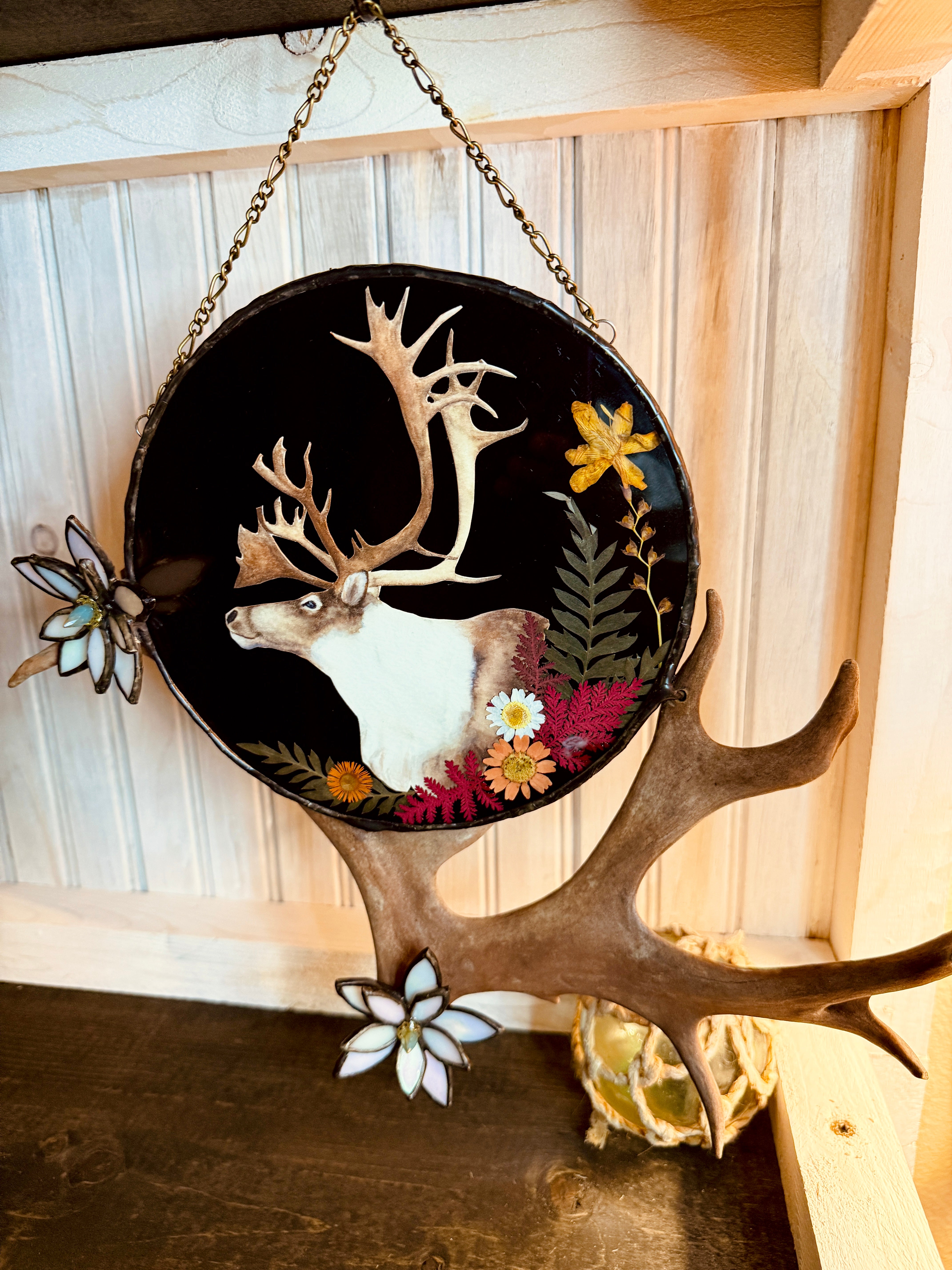 Brooks Caribou Antler