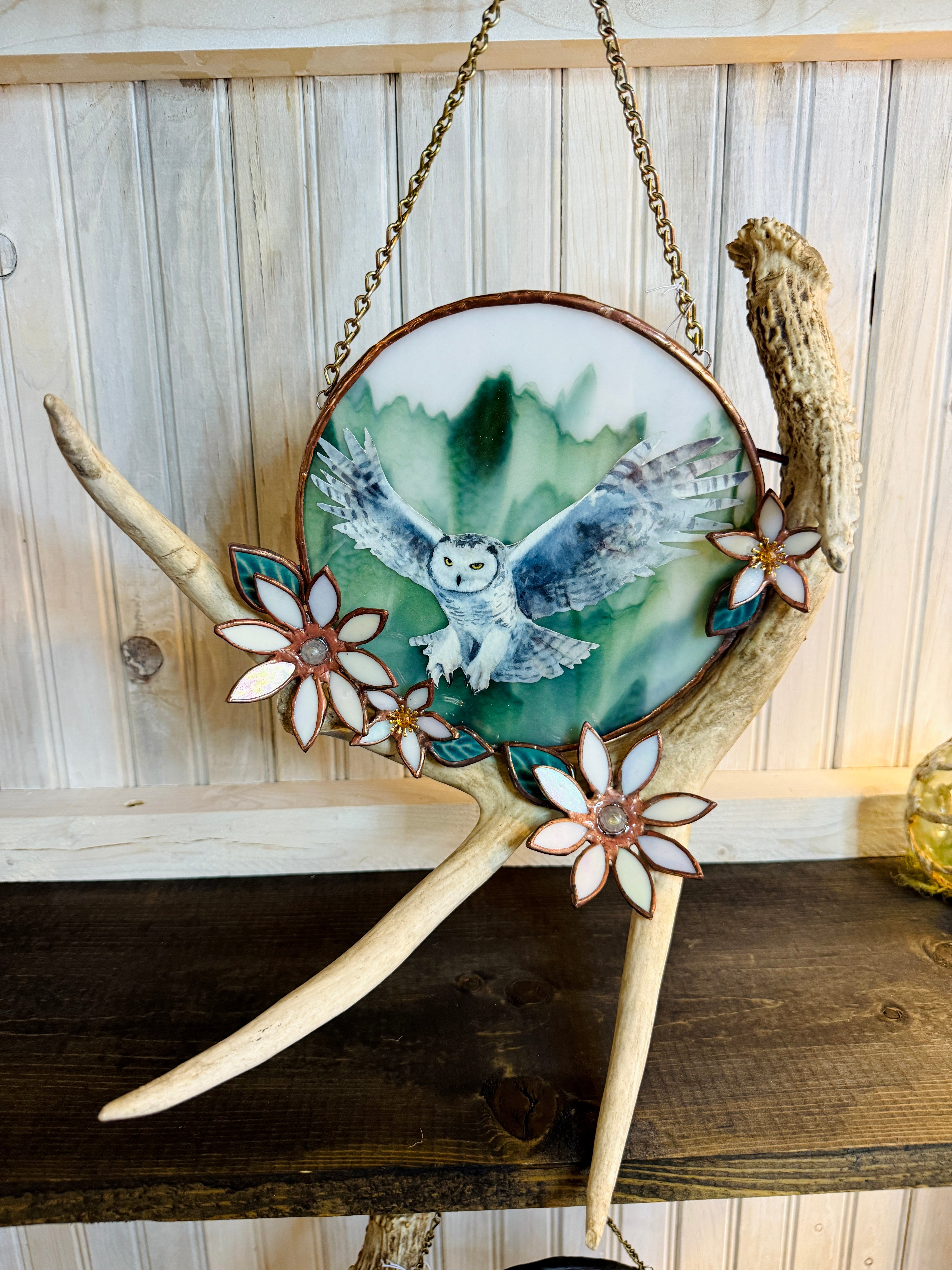 Flying Owl Antler