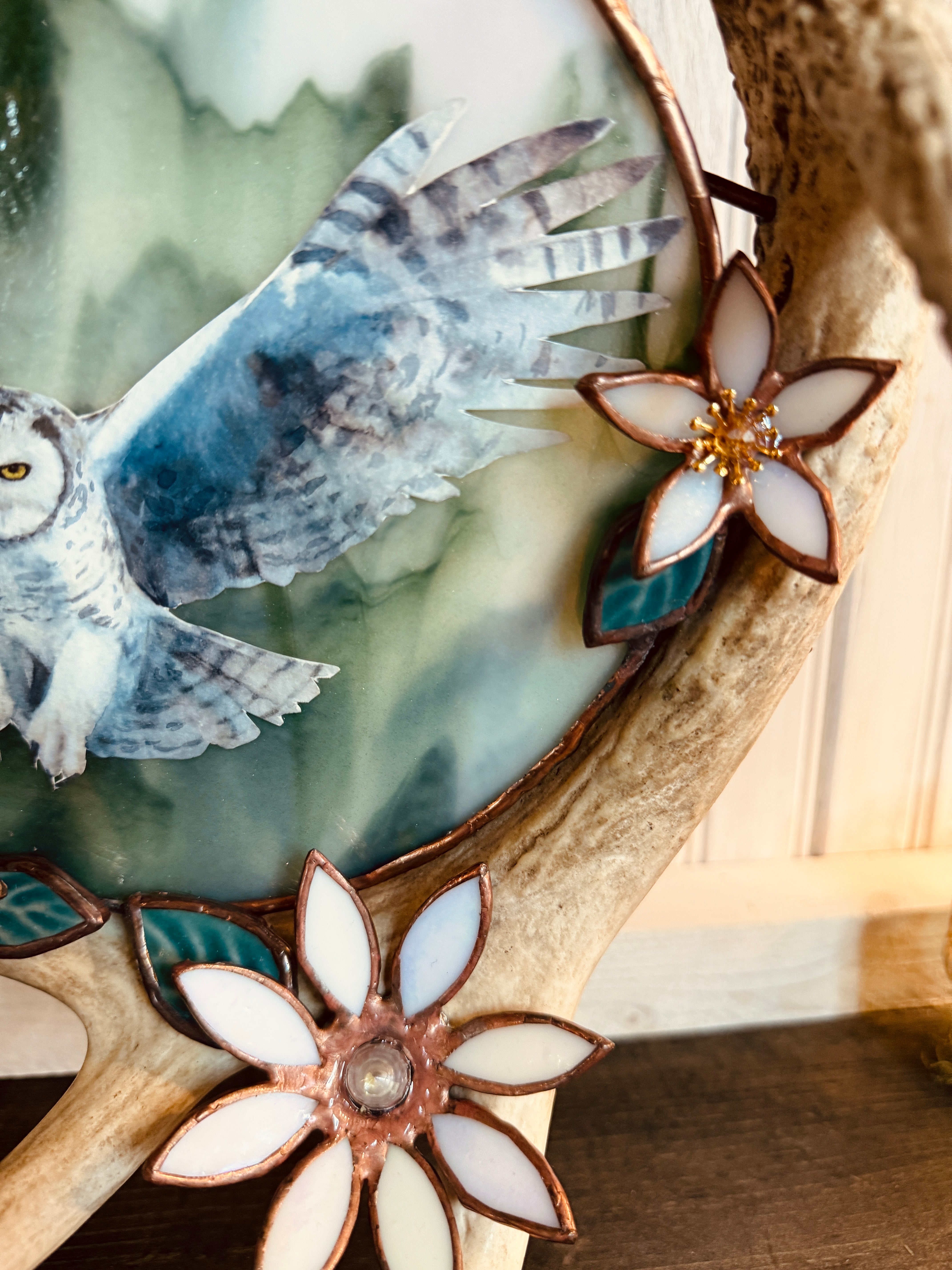 Flying Owl Antler
