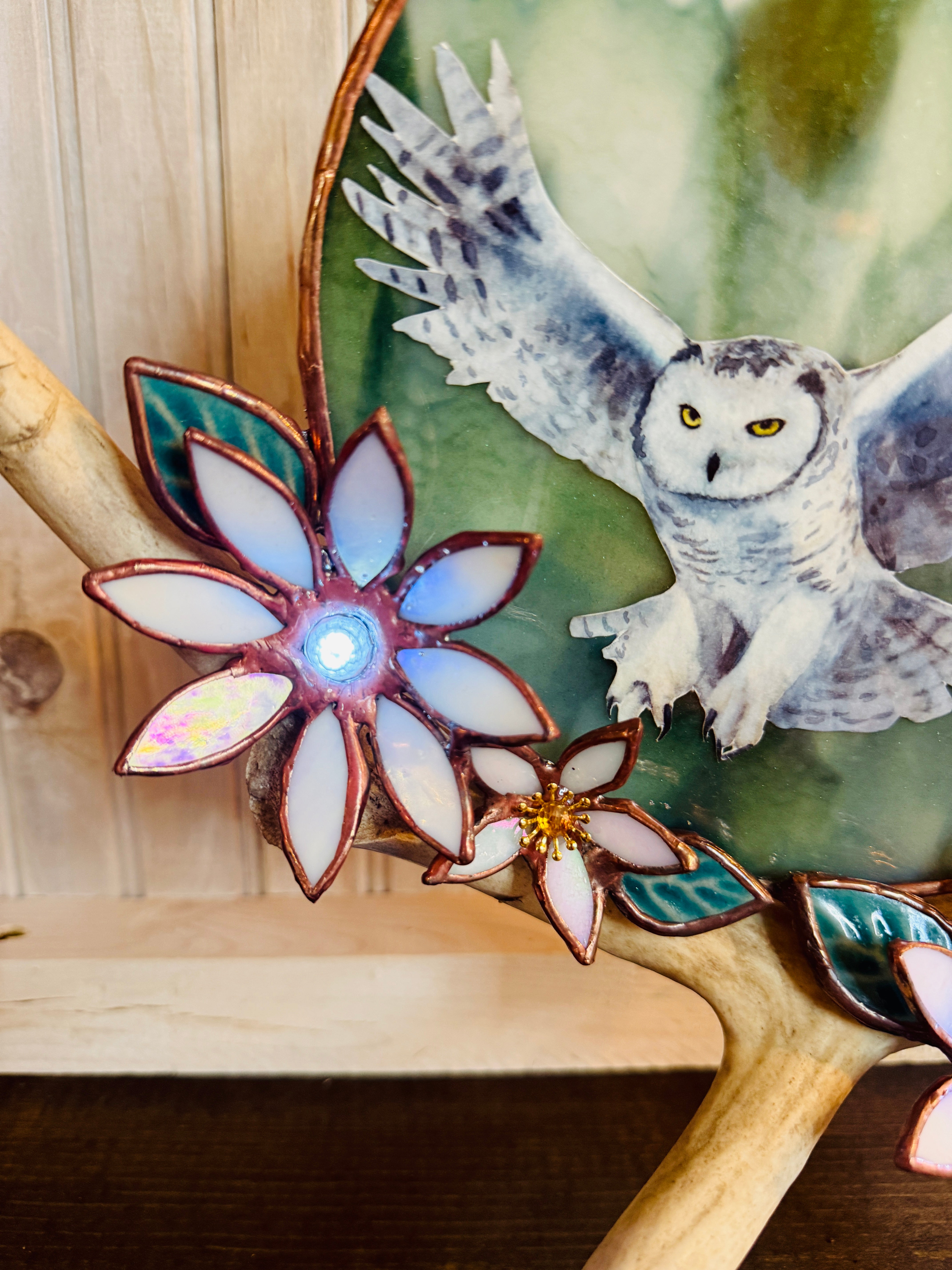 Flying Owl Antler