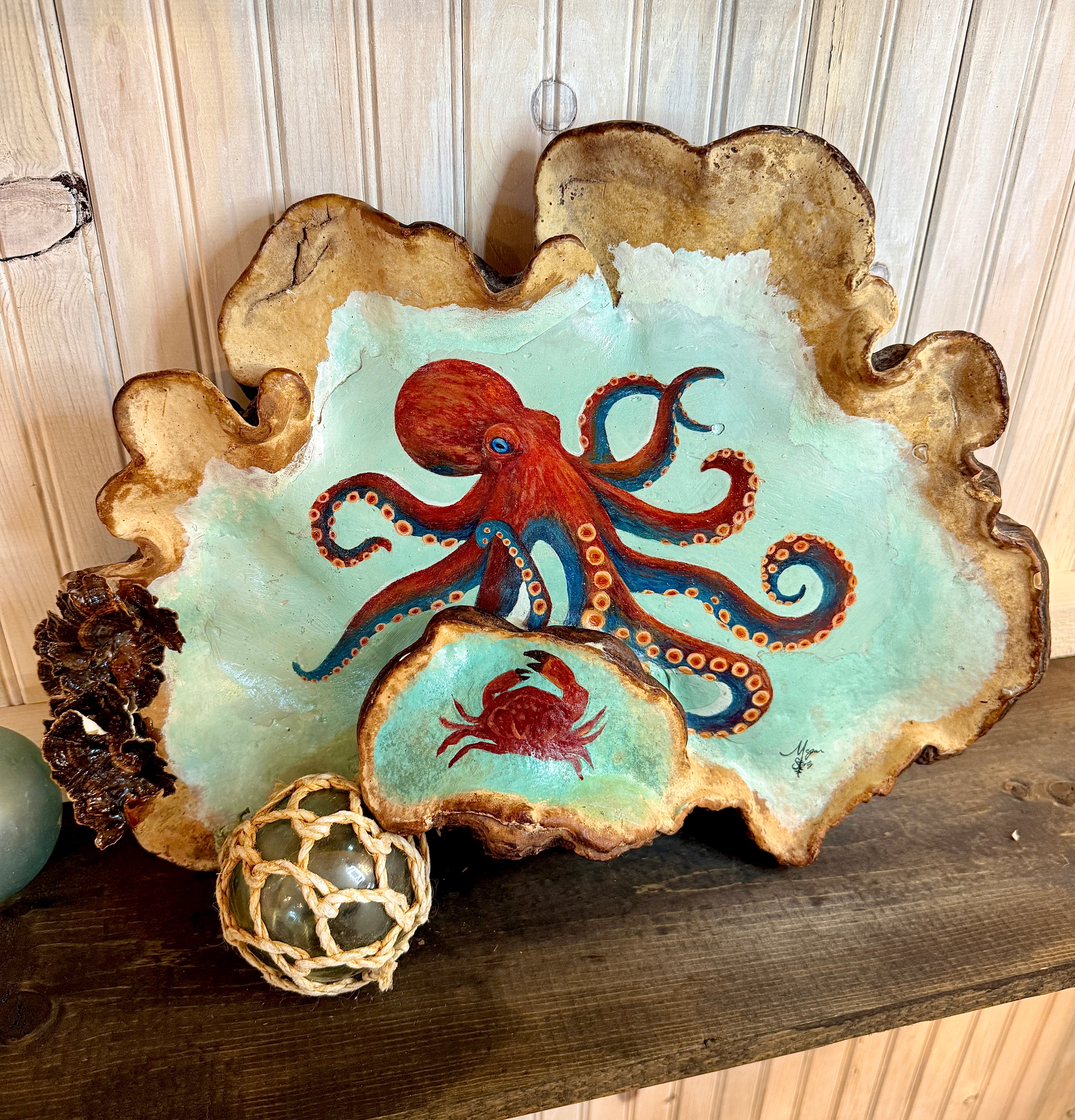 Octopus Conk Mushroom