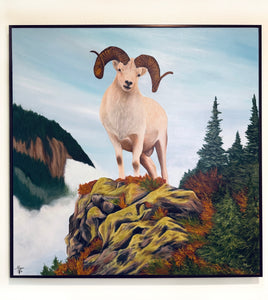 Timber Ram