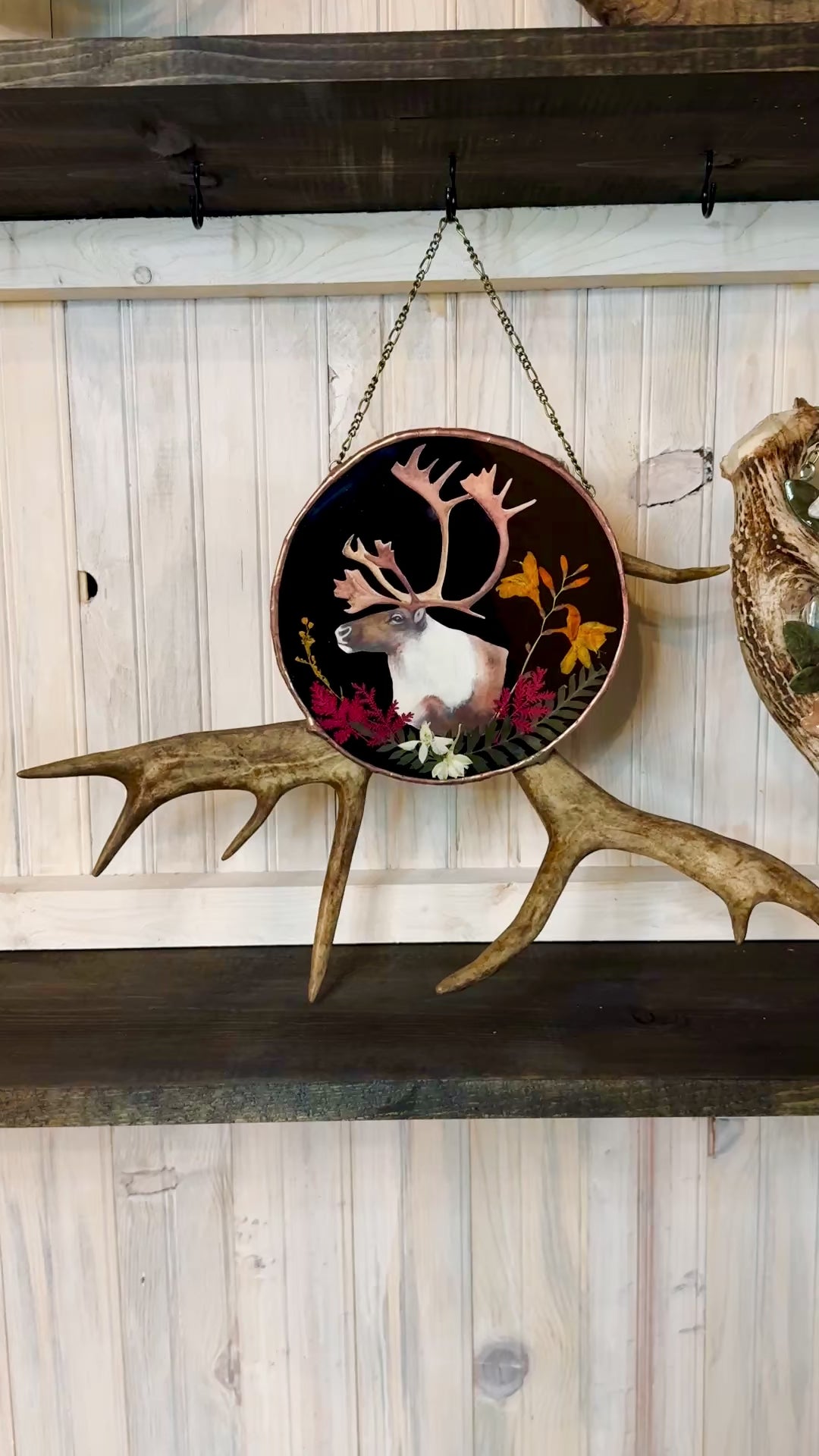 Woodland Caribou Glass Antler