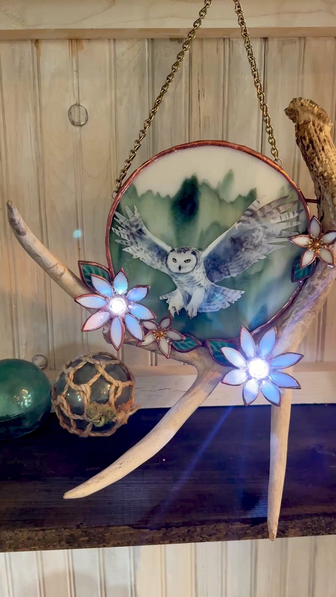 Flying Owl Antler